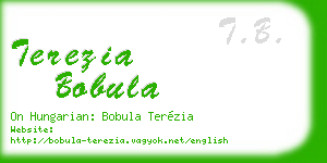 terezia bobula business card